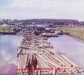 [1909]. Гонки (сплав леса) на канале Петра I. Шлиссельбург.