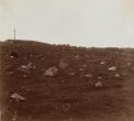 1912. Cemetery of those killed in battle, near the village of Studenka in Napoleonic campaign.
